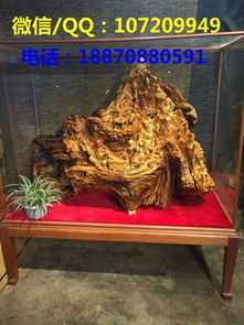 供應(yīng)崖柏?cái)[件 崖柏根雕鑒別 黃金樟根雕制作