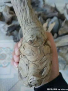 上拍一個精品崖柏把件 石來運轉(zhuǎn)