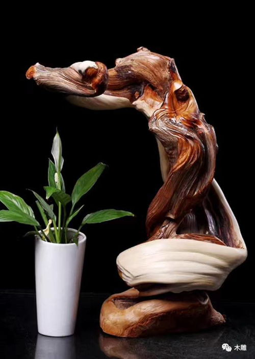 崖柏臻品盛宴,遇上了千萬別錯過 高清大圖