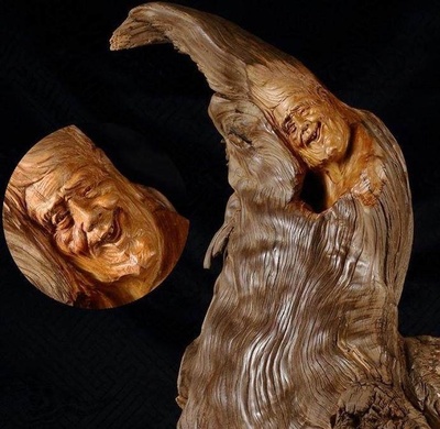 拒絕吃藥,細說崖柏的品質(zhì)與真假鑒別,看完你就懂了