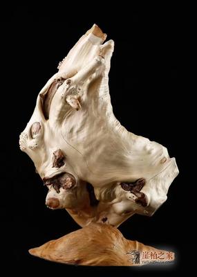 崖柏靈韻，琴心相印——品析太行崖柏《伯牙撫琴》