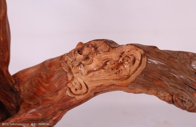 崖柏——峭壁上的生命圖騰