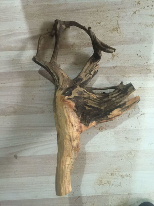 崖柏樹根的藝術(shù)重生 從廢棄到珍藏的處理之道